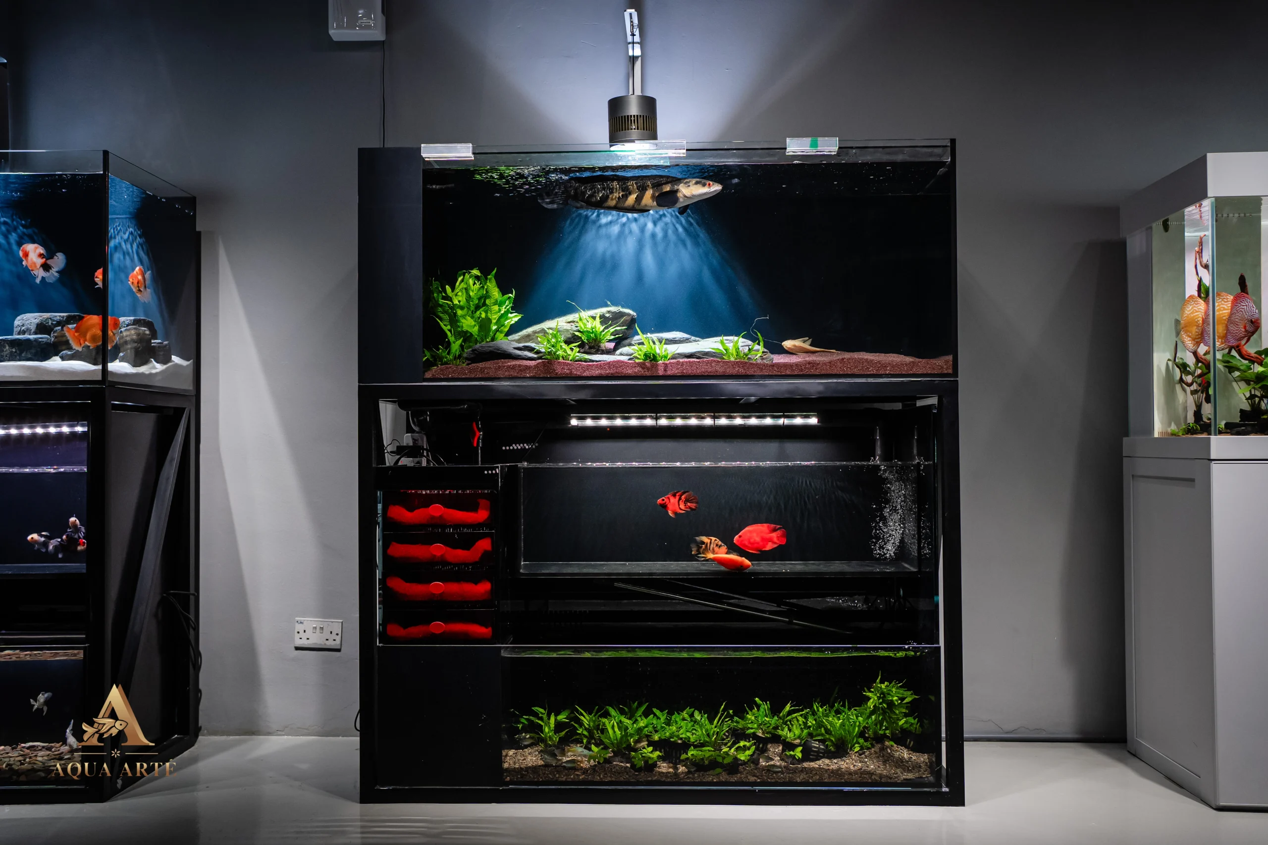 Fish shop