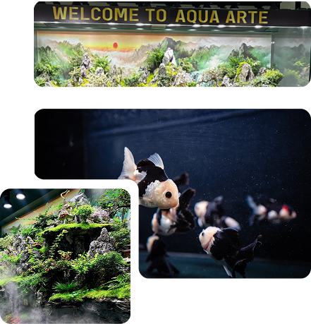 About 1 about aquarium shop Kepong
