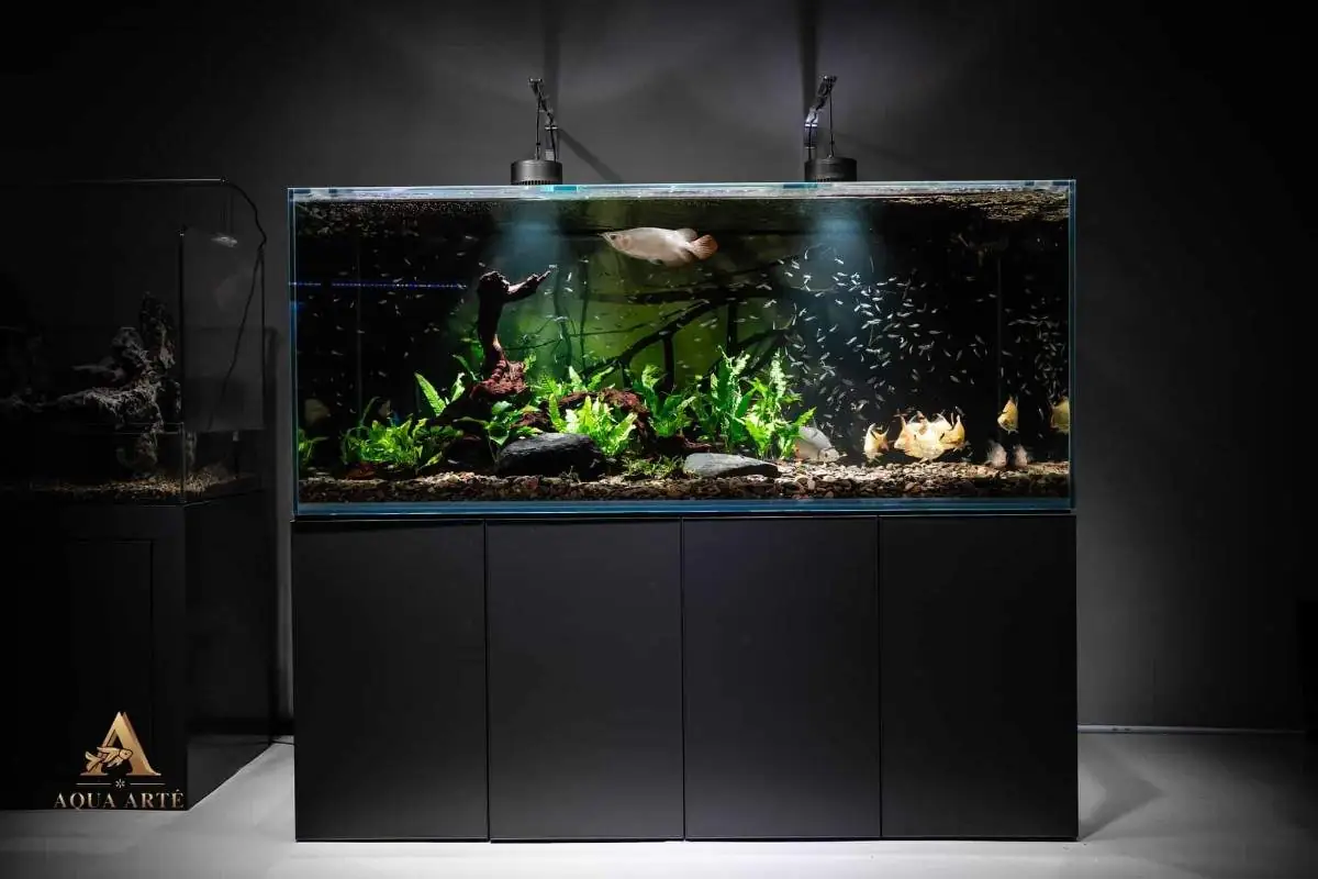 Tentang Kami 4 Kedai Ikan Hiasan KL