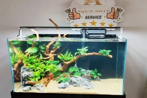 Aquascape Design 25 d-pic1-w