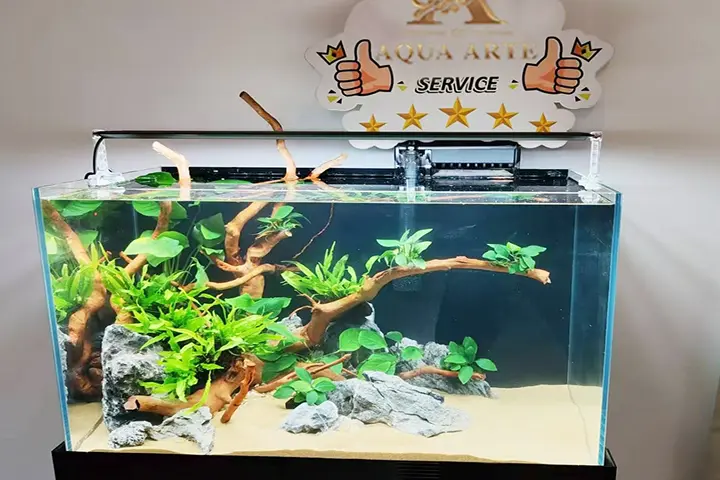 Aquascape Design 16 d-pic1-w