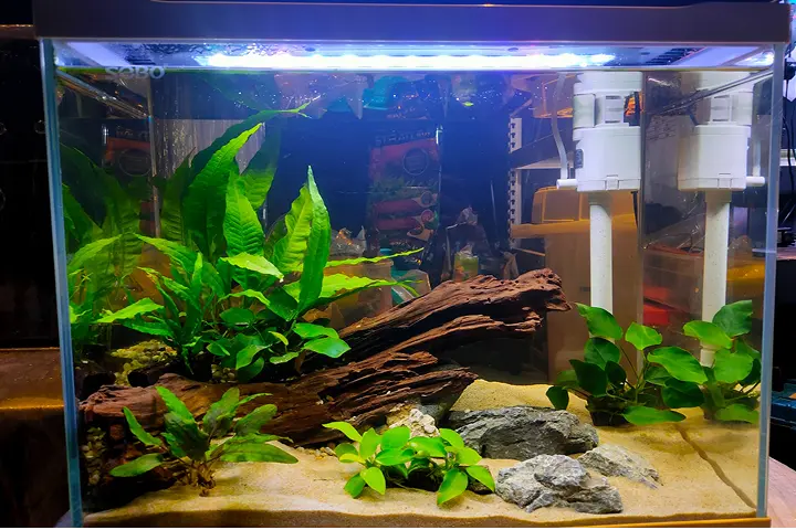 Aquascape Design 17 d-pic4-w