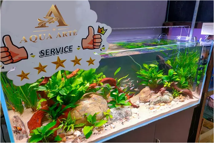 Aquascape Design 18 d-pic5-w