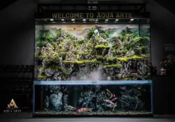 Home 5 home-aquascape