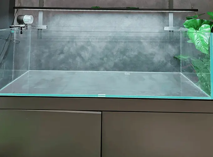 Aquarium Maintenance Service Malaysia - Aqua Arte