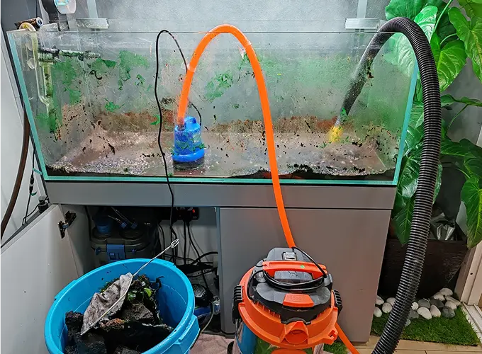 Aquarium Maintenance Service Malaysia - Aqua Arte