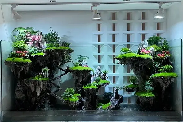 Aquascape Design 5 p-s4