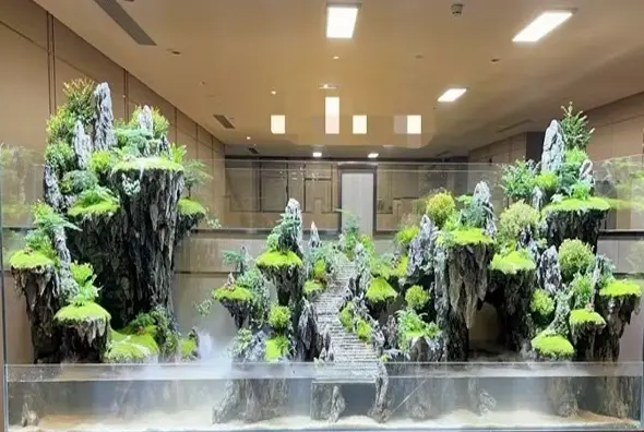 Aquascape Design 6 p-s5