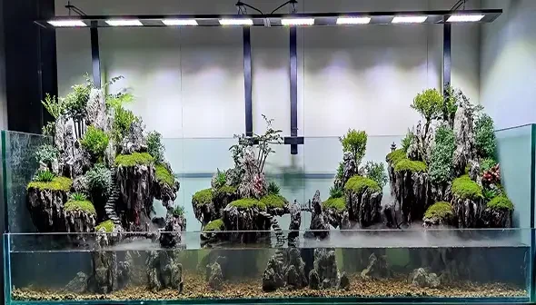 Aquascape Design 8 paludarium s2 e1754376041423