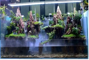 Aquascape Design 28 paludariumstyle