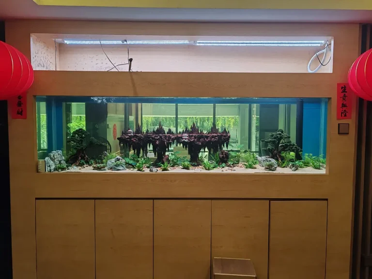 Aquascape Design 11 pic10