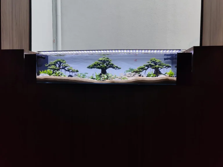 Aquascape Design 13 pic11