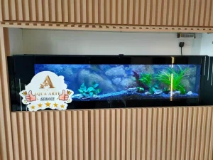 Aquascape Design 22 pic9