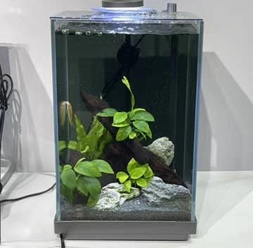 re-home1