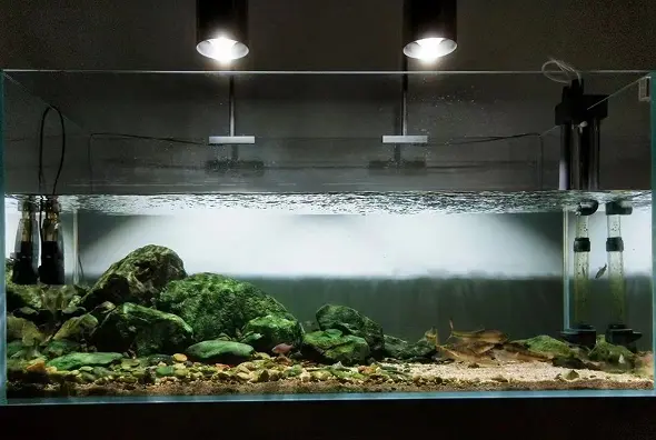 Aquascape Design 1 river style aquascaping aquarium Kepong Malaysia