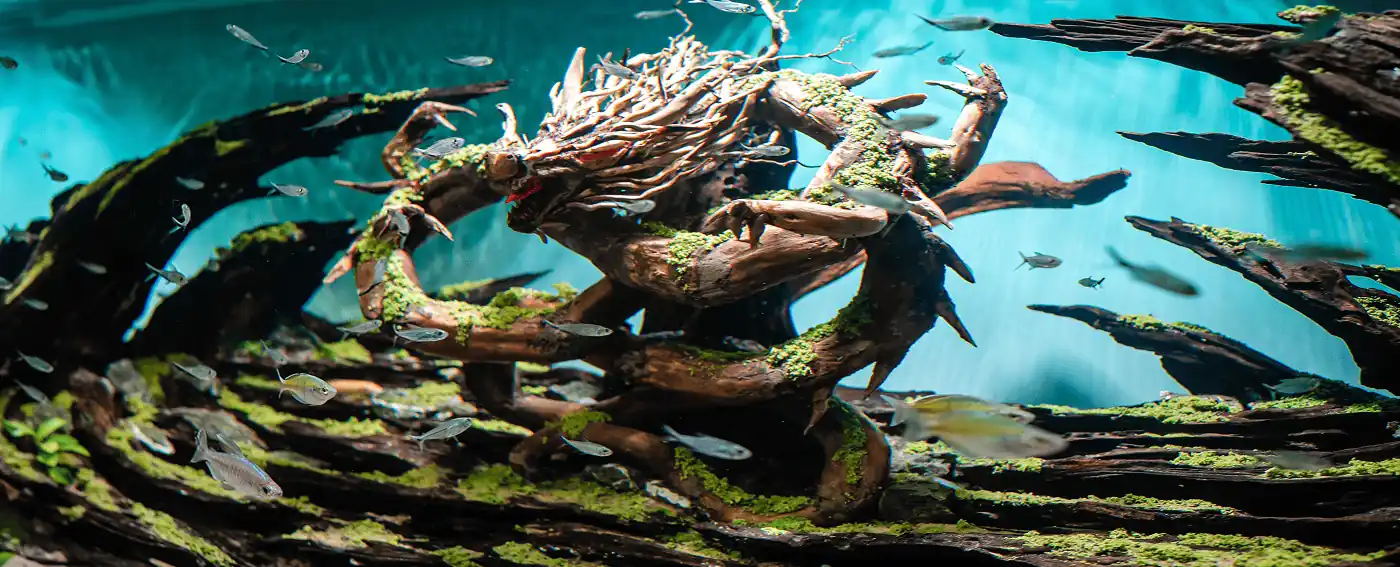 Services 9 Fish Tank Installation Service Malaysia